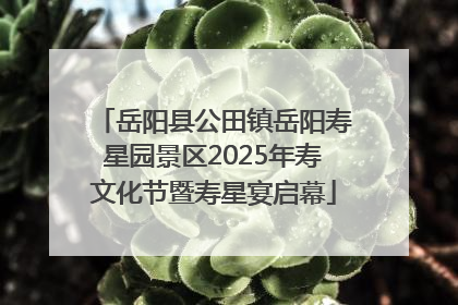 岳阳县公田镇岳阳寿星园景区2025年寿文化节暨寿星宴启幕