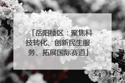 岳阳楼区：聚焦科技转化、创新民生服务、拓展国际赛道