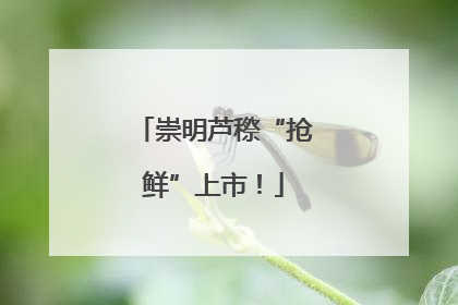 崇明芦穄“抢鲜”上市！