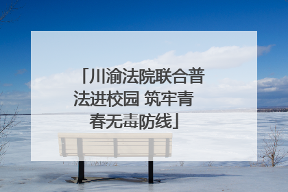 川渝法院联合普法进校园 筑牢青春无毒防线