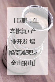巨野：生态修复+产业开发 塌陷荒滩变身金山银山