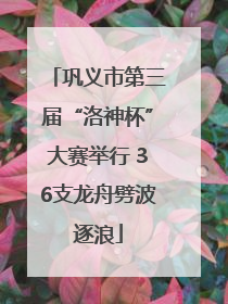 巩义市第三届“洛神杯”大赛举行 36支龙舟劈波逐浪