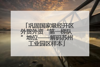 巩固国家级经开区外贸外资“第一梯队”地位——解码苏州工业园区样本