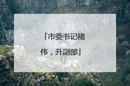 市委书记褚伟，升副部