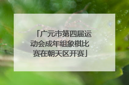 广元市第四届运动会成年组象棋比赛在朝天区开赛