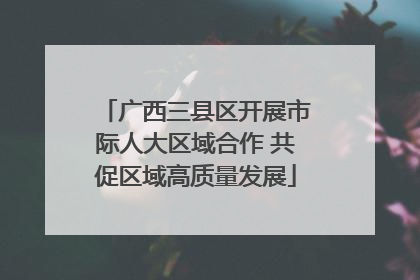 广西三县区开展市际人大区域合作 共促区域高质量发展
