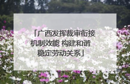 广西发挥裁审衔接机制效能 构建和谐稳定劳动关系