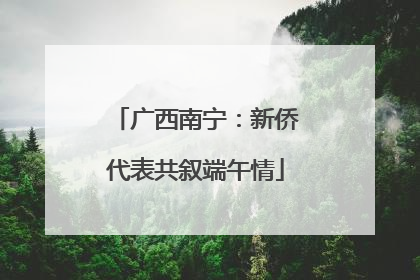 广西南宁：新侨代表共叙端午情