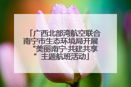 广西北部湾航空联合南宁市生态环境局开展“美丽南宁·共建共享”主题航班活动