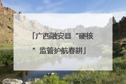 广西融安县“硬核”监管护航春耕