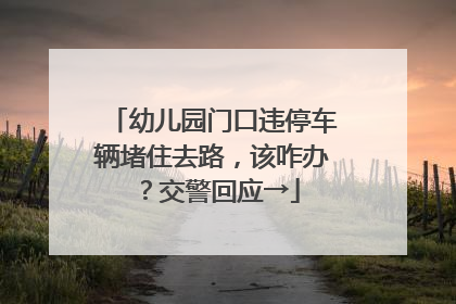 幼儿园门口违停车辆堵住去路，该咋办？交警回应→