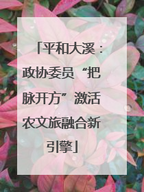 平和大溪：政协委员“把脉开方”激活农文旅融合新引擎