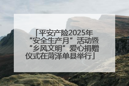 平安产险2025年“安全生产月”活动暨“乡风文明”爱心捐赠仪式在菏泽单县举行