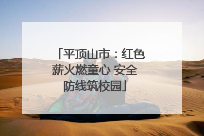 平顶山市：红色薪火燃童心 安全防线筑校园