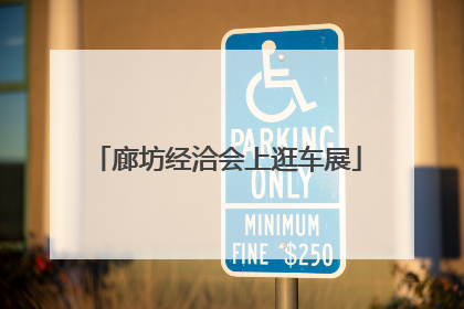 廊坊经洽会上逛车展