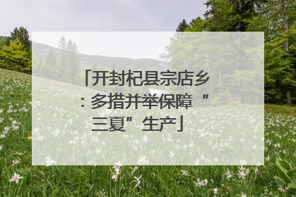 开封杞县宗店乡：多措并举保障“三夏”生产