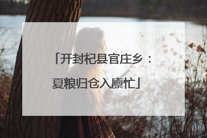 开封杞县官庄乡：夏粮归仓入廪忙