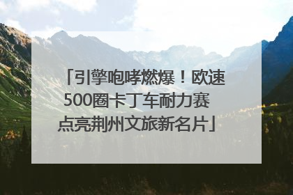 引擎咆哮燃爆！欧速500圈卡丁车耐力赛点亮荆州文旅新名片