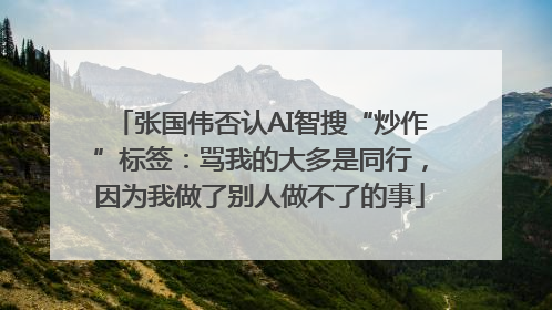 张国伟否认AI智搜“炒作”标签：骂我的大多是同行，因为我做了别人做不了的事