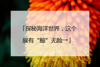 探秘海洋世界，这个展有“鲸”无险→