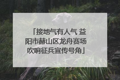 接地气有人气 益阳市赫山区龙舟赛场吹响征兵宣传号角
