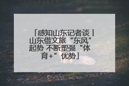 感知山东记者谈丨山东借文旅“东风”起势 不断塑强“体育+”优势