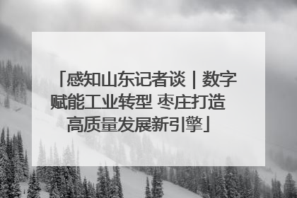 感知山东记者谈｜数字赋能工业转型 枣庄打造高质量发展新引擎