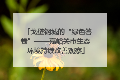 戈壁钢城的“绿色答卷”——嘉峪关市生态环境持续改善观察