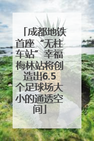 成都地铁首座“无柱车站”幸福梅林站将创造出6.5个足球场大小的通透空间