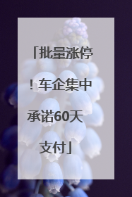 批量涨停！车企集中承诺60天支付