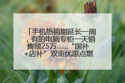 手机热销期延长一周，有的电脑专柜一天销售额25万……“国补+店补”双重优惠点燃德州“考后经济”