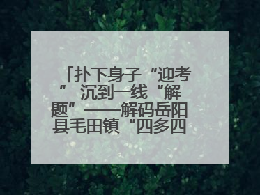 扑下身子“迎考” 沉到一线“解题”——解码岳阳县毛田镇“四多四好”工作法
