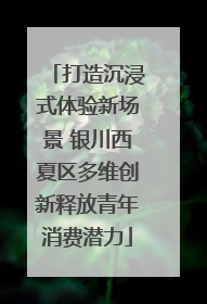 打造沉浸式体验新场景 银川西夏区多维创新释放青年消费潜力