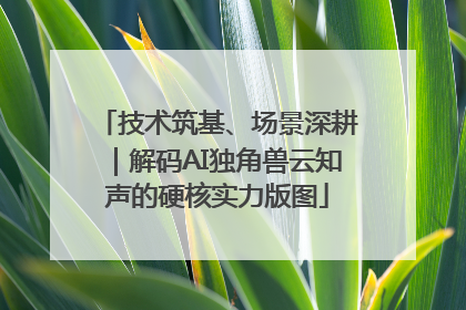 技术筑基、场景深耕｜解码AI独角兽云知声的硬核实力版图