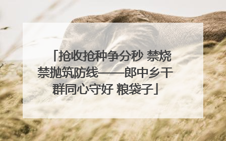 抢收抢种争分秒 禁烧禁抛筑防线——郎中乡干群同心守好 粮袋子