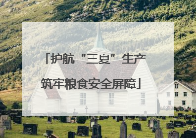 护航“三夏”生产 筑牢粮食安全屏障
