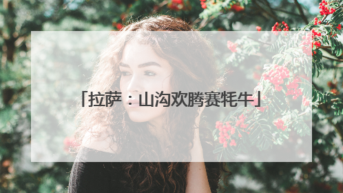 拉萨：山沟欢腾赛牦牛