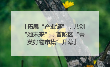 拓展“产业链”，共创“她未来”，普陀区“菁英好物市集”开幕