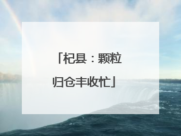杞县：颗粒归仓丰收忙