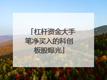 杠杆资金大手笔净买入的科创板股曝光