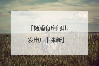 杨浦有座闸北发电厂｜张新