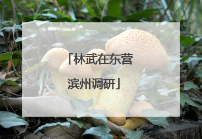 林武在东营滨州调研