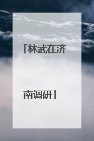 林武在济南调研