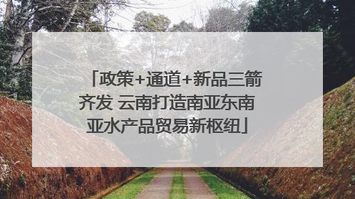 政策+通道+新品三箭齐发 云南打造南亚东南亚水产品贸易新枢纽