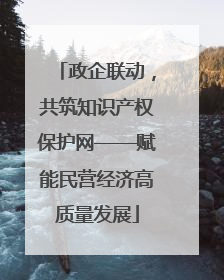 政企联动，共筑知识产权保护网——赋能民营经济高质量发展