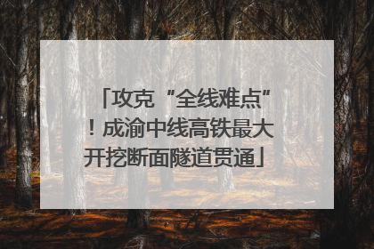 攻克“全线难点”！成渝中线高铁最大开挖断面隧道贯通