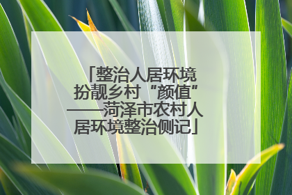 整治人居环境 扮靓乡村“颜值”——菏泽市农村人居环境整治侧记