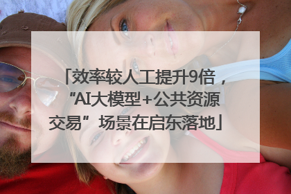 效率较人工提升9倍，“AI大模型+公共资源交易”场景在启东落地