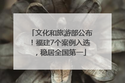 文化和旅游部公布！福建7个案例入选，稳居全国第一