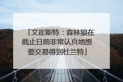 文霍斯特：森林狼在截止日前非常认真地想要交易得到杜兰特